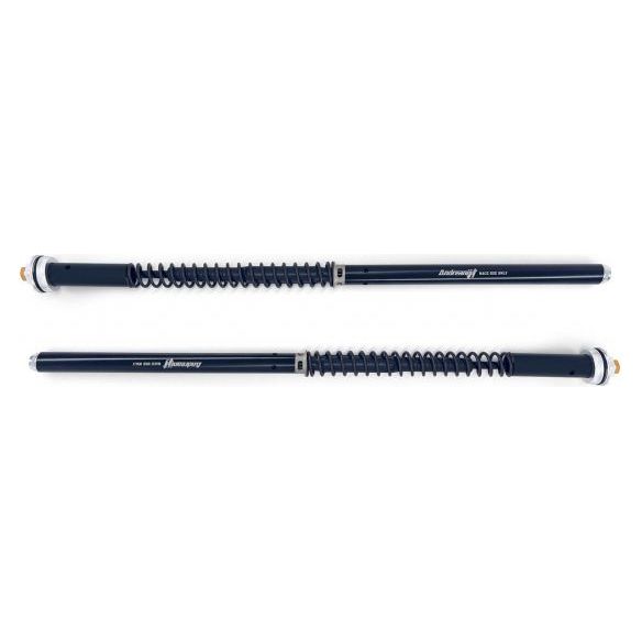 Andreani Evolution Hydraulisch Instelbare Cartridge Aprilia RS 660 (2020)